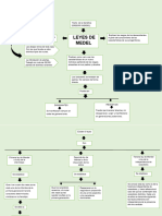 Mapa Conceptual de Las Leyes de Mendel