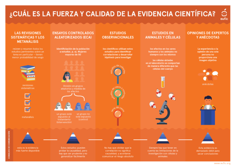 7-1-7-pir-mide-de-la-evidencia-cient-fica-eufic-pdf