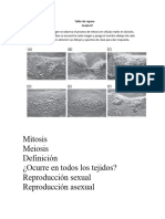 Mitosis Meiosis Definición ¿Ocurre en Todos Los Tejidos? Reproducción Sexual Reproducción Asexual