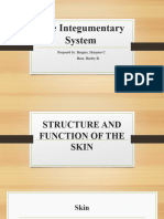 Ppt Integumentary