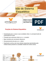 Aula+8+ +Divisão+Do+Sistema+Esqueletico