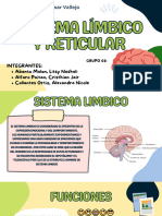 Sistema Limbico y Reticular