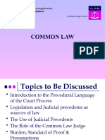 Common Law PowerPoint Presentation-1