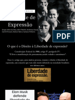 Liberdade de Expressão (2)