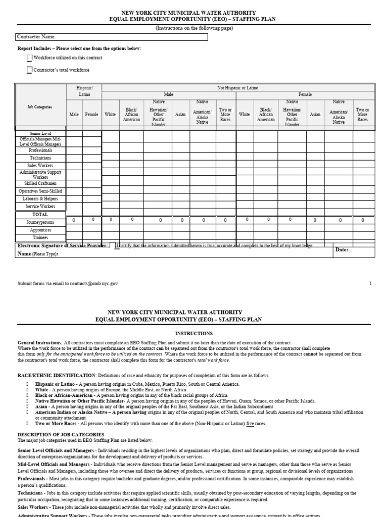 Staffing Plan Template 34 | PDF | Race And Ethnicity In The United ...