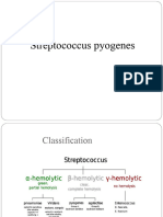 Streptococcus Pyogenes