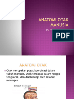 (3)_ANATOMI OTAK MANUSIA 1