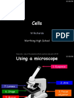 7A Cells WS