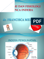 Anatomi Dan Fisiologi Panca Indera