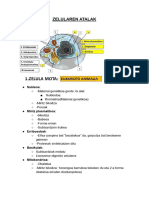 Bio Azterketa