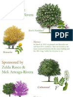 Tree Slides Zelda Rasco