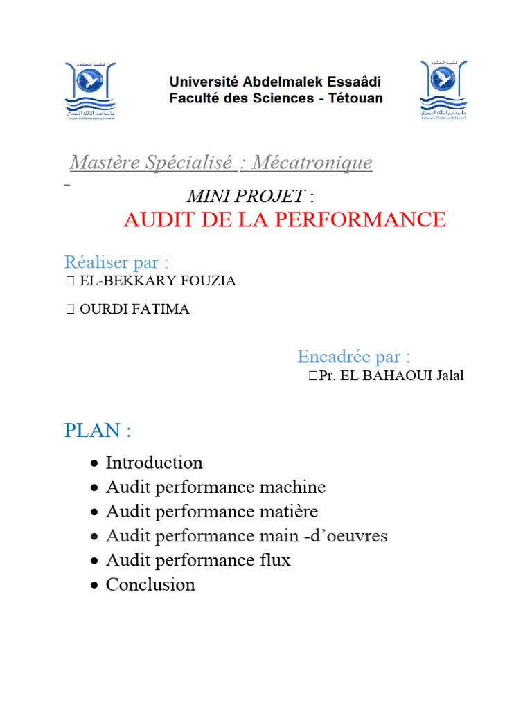 Mini Projet Audit | PDF | Audit | Matière