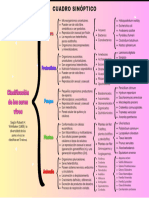 Cuadro Sinóptico-Clasificación de Los Seres Vivos (29.7 × 21 CM)