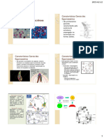 Aula 15 e 16-Esporozoários e Coccidioses