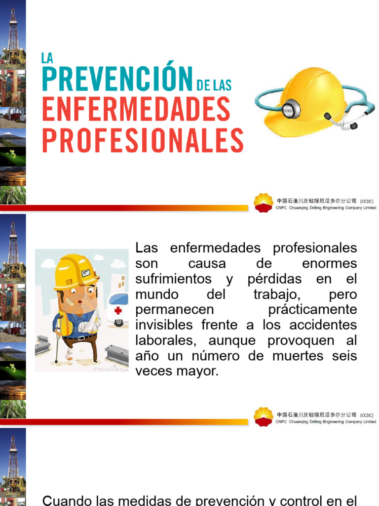 Enfermedades Profesionales: Prevención y Riesgos | PDF | Dolor lumbar ...