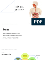 Tema 10 Fisio