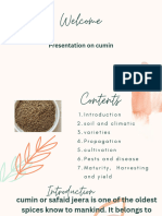 Beige Brown Minimal Organic Creative Project Presentation - 20240416 - 202907 - 0000