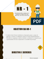 NR - 1 Trabalho