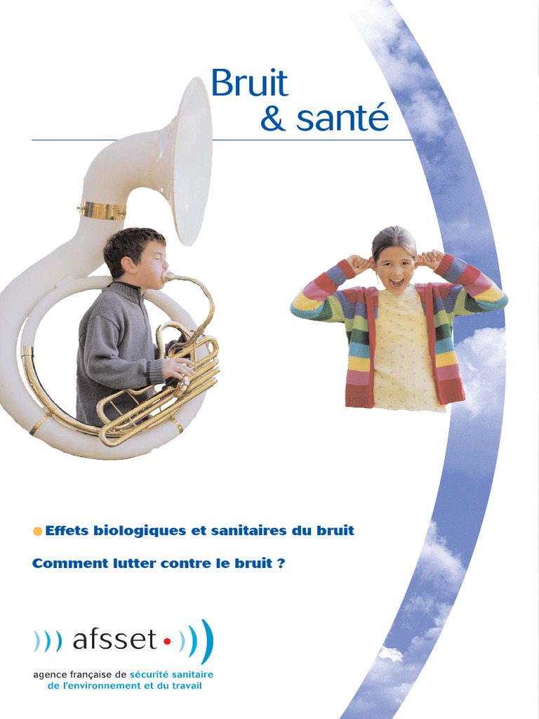 Effets du bruit sur la santé humaine | PDF | Bruit | Son