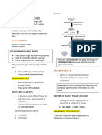 Plant Bio 1