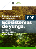 Guia de Eval de Ecosistema Bosque Montano Web