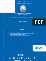 Mehu604 - U1 - T1 - Semanas 2 TRONCO ENCEFALICO