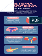 Infografía Del Sistema Endócrino Educativo Azul y Rosa