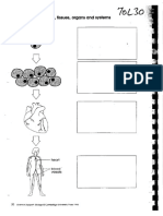 Organ Systems Worksheets