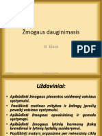 Žmogaus Dauginimasis