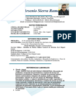 MODELO CURRICULUM 2 PAGINA Actu