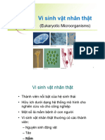 Vi Sinh Vật Nhân Thật - 2023