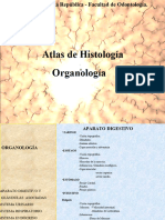 Atlas Organología