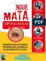 CARTILLA AEDES AEGYPTI 2020.pdf File 1607347602