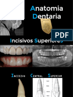 Práctica de Anatomia Dentaria de Dientes Permanentes - 2020 - INCISIVOS - CANINOS - DR Italo