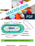 Macrolidos y Amino Glucosidos