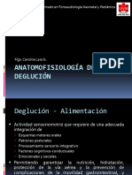 Anatomofisiologia Deglución Frenillo Neo