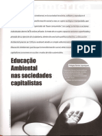 Layrargues - EA nas sociedades capitalistas - Revista Novamerica n. 157 (1)