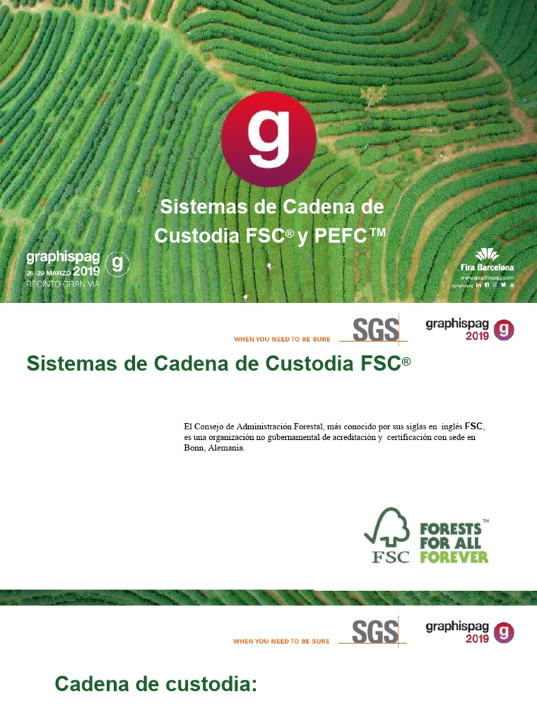 Certificación FSC Presentación | Descargar gratis PDF | Consejo de ...