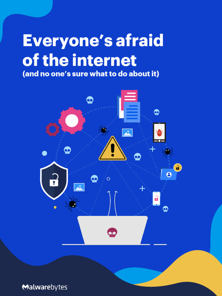 Online Security Fears and Behaviors | PDF | Security | Computer Security