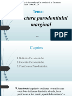 Structura Parodontiului Marginal