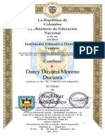 Darcy Acta Bogota