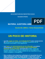 Presentacion Auditoria Ambiental- Final
