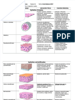 PDF Epitelio de Recubrimiento y Revestimiento - Compress