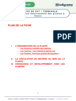 SVT_organisation_fonctionnelle_des_plantes