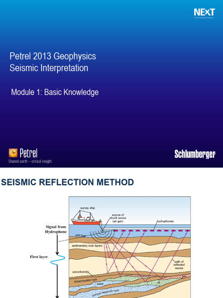 Seismic Interpretation Techniques Guide | PDF | Waves