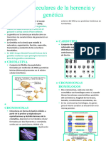 Bases Moleculares de La Herencia y Genética