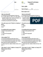 Examen de Uso de Escaleras