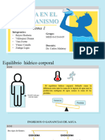 Exposicion Fisiopatología
