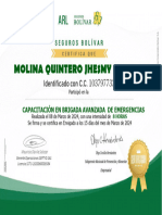 Bolivar-Brigada Avanzada - Molina Quintero Jhesmy Carolina