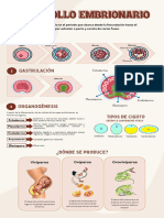 Desarrollo Embrionario